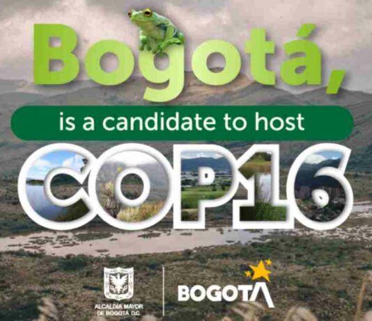 CENTRAFRIQUE – CLIMAT : A Bogota, Bangui espère plus d’engagement des pays pollueurs