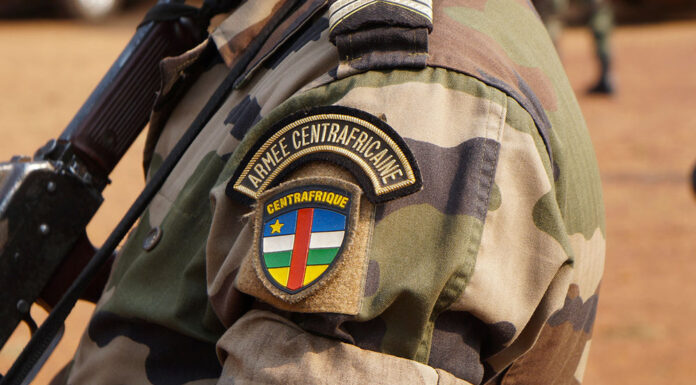 CENTRAFRIQUE – FRANCE : La France veut tracer les armes des FACA