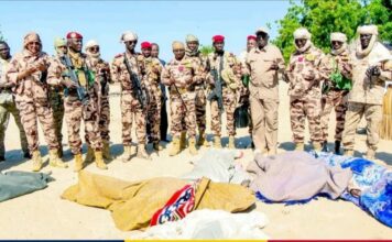 TCHAD – SÉCURITÉ : Deuil national après une attaque de Boko Haram