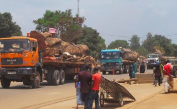 CENTRAFRIQUE – FRONTIÈRES : Bangui calme le jeu après la mot d’un chauffeur camerounais