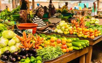 CENTRAFRIQUE – ÉCONOMIE : Le gouvernement s’attaque aux causes de l’inflation