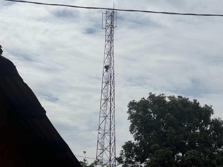 CENTRAFRIQUE – ÉCONOMIE : Starlink ébranle le marché de la téléphonie