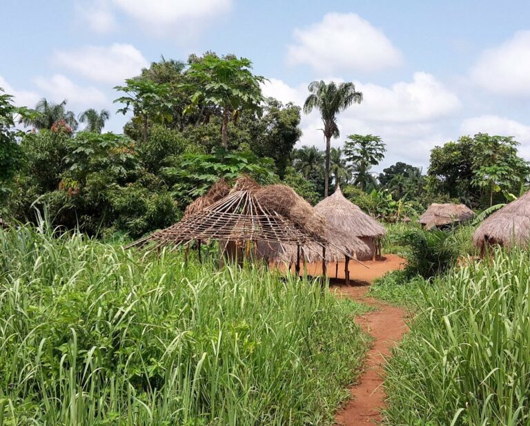 CENTRAFRIQUE – CONFLIT : Le Haut Mbomou toujours sous haute tension