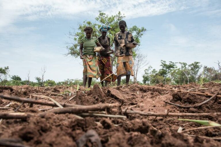 CENTRAFRIQUE – CLIMAT : Cap sur Bakou après la déception de la COP de Bogota